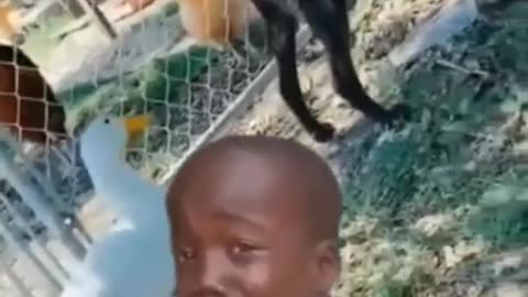 LAUGH 🤣
