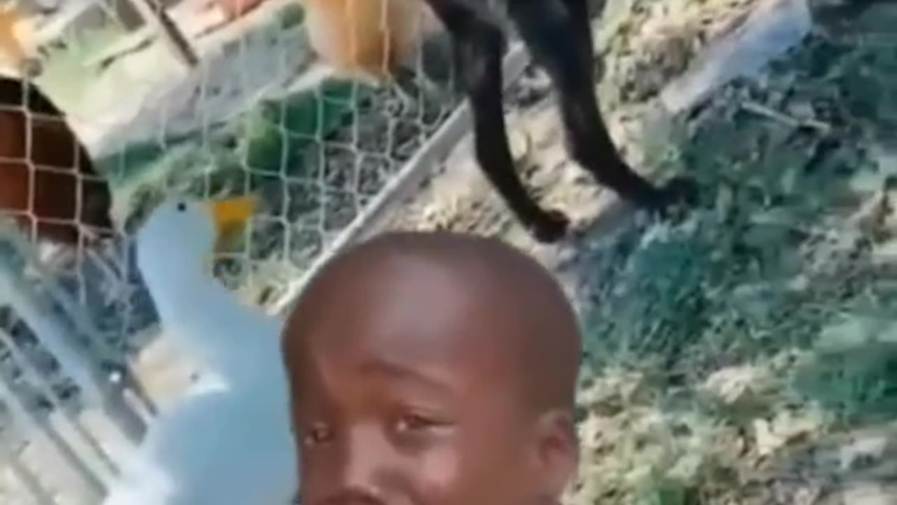 LAUGH 🤣