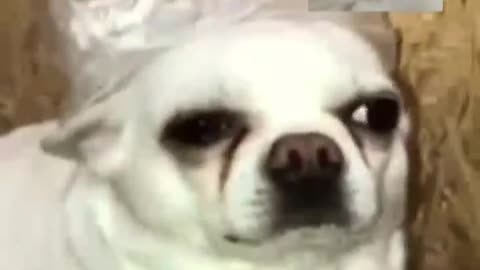 video every day before bed