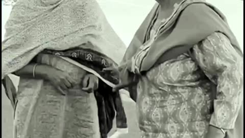 Pardesi