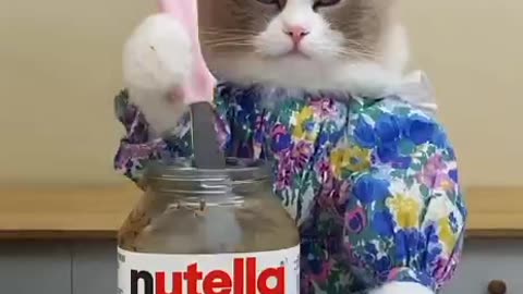 Catpuff