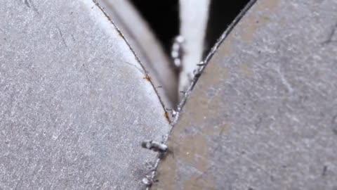 Why You Should Wash Knife After Sharpening