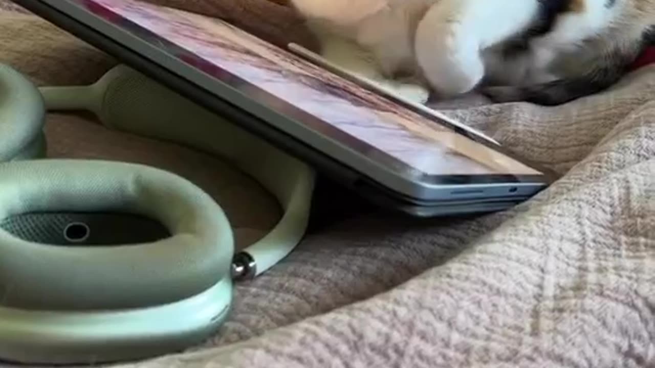 Video no. 136 you get a surprise in one of our videos stay tuned