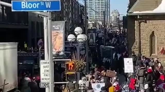 Streets of Toronto