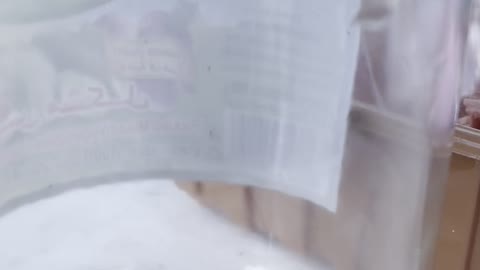 Locust in my jar