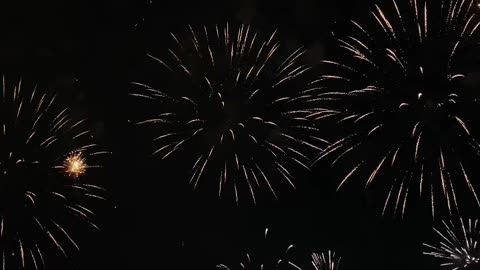 Independence Day|14 August