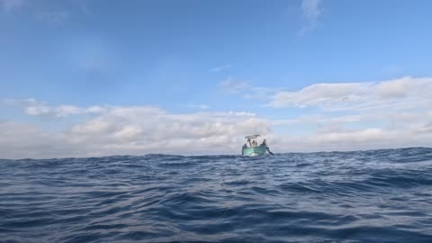 Diver Has a Close Encounter With a Big Mako Shark