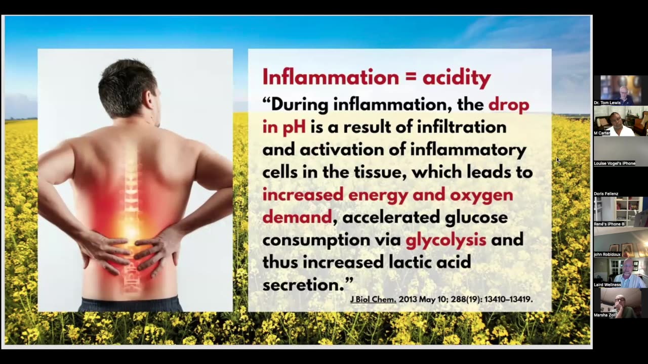 212. How Inflammatory (low nutrient) Foods Create Heart Disease.