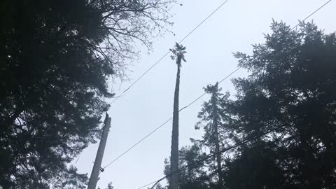 Small top three times the power line height double flip