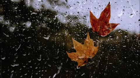 Leaf Rain Window Water Droplets Autumn