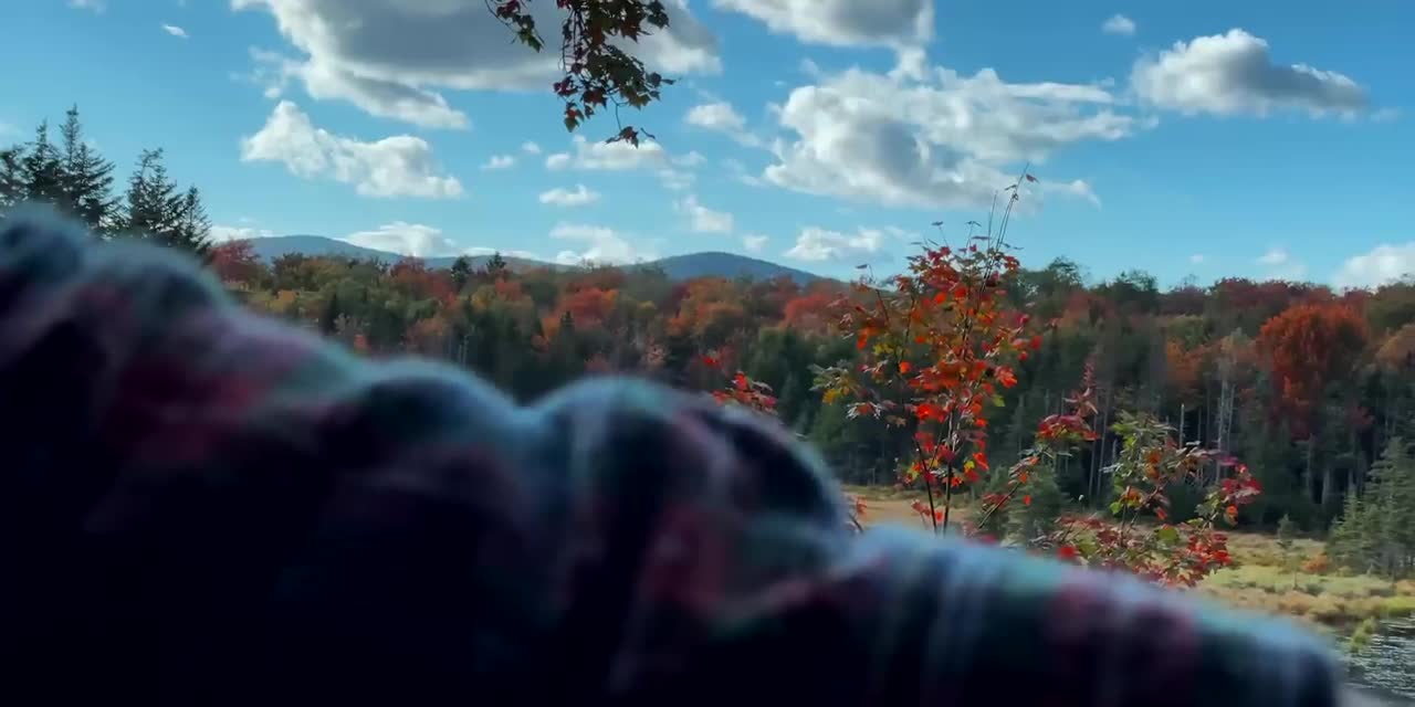 The Beauty of Peak Fall Foliage 🍁 Autumn in New England Part 1-13