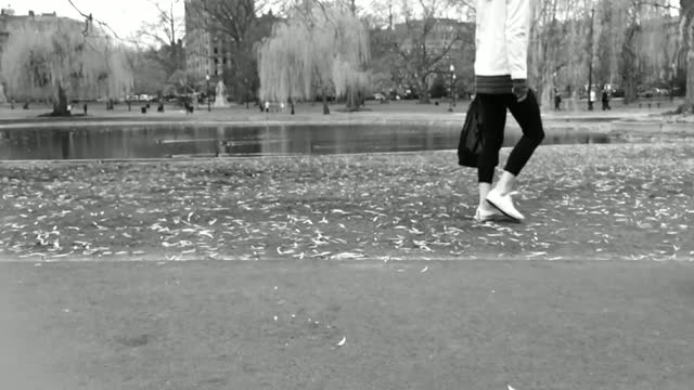 Running Dog in a Park Black and White