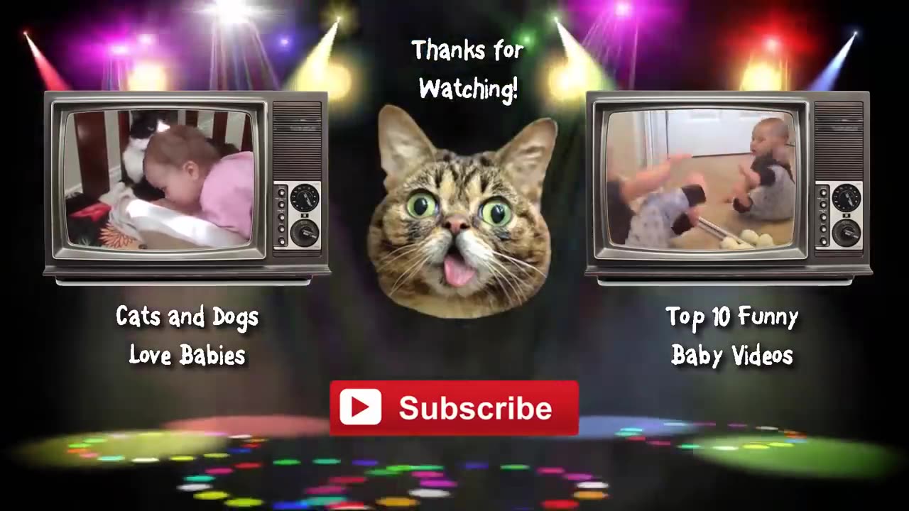 Laugh Out Loud with These Hilarious Cat and Dog Videos