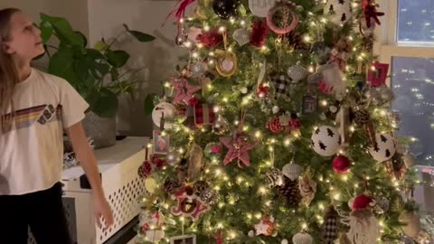 Great Dane Feeling Festive in Christmas Tree Costume