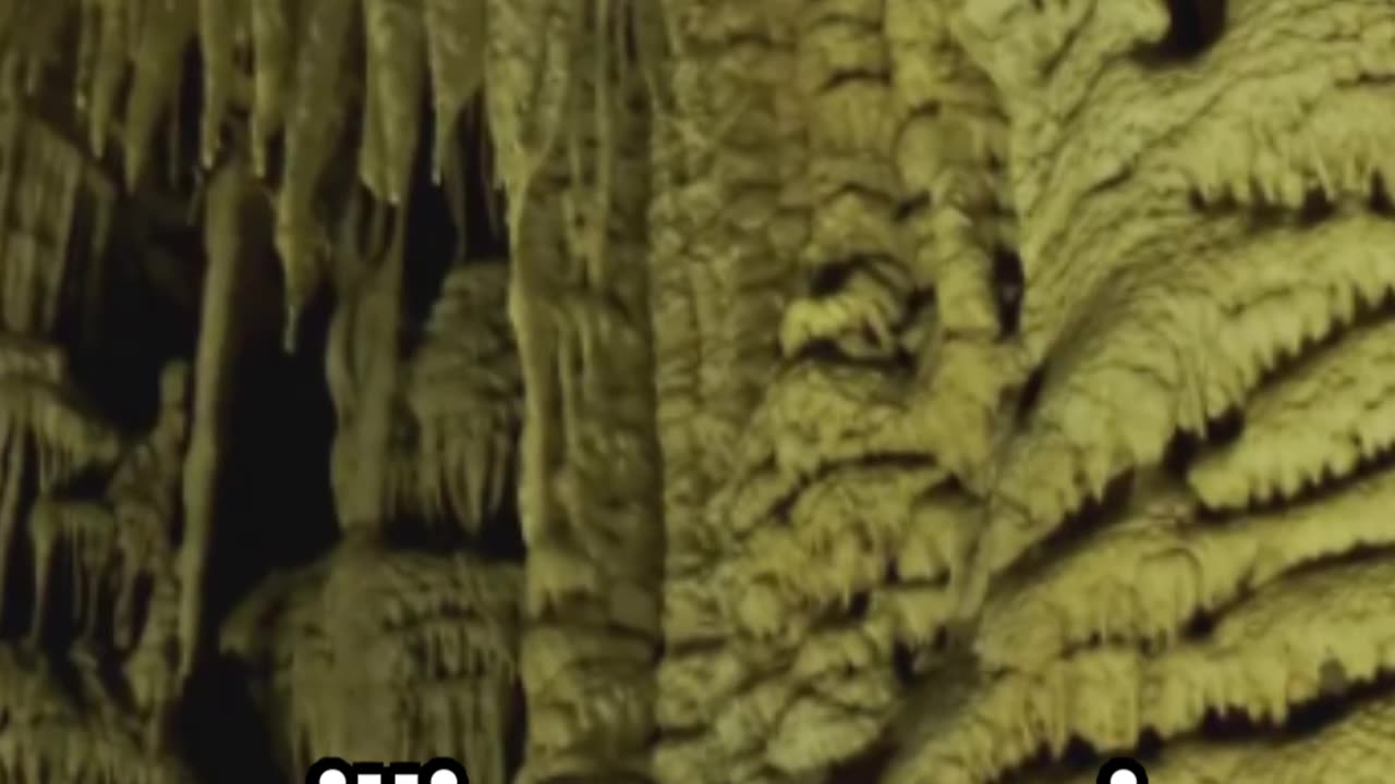 Unveiling the Unseen Wonder: Waitomo #waitomo #glowworm #cave #adventure #travel