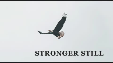 Pray USA 11/22/23 Stronger Still