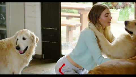 Woman playing with her dogs at home