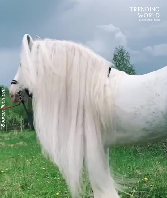 Anti-Loosh Video Number 94. LOOSH is real and bad. Explained below and watch the video!