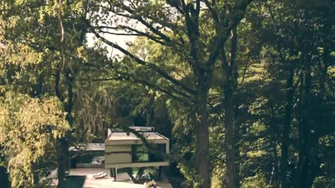 A Modern House In The Woods In Germany