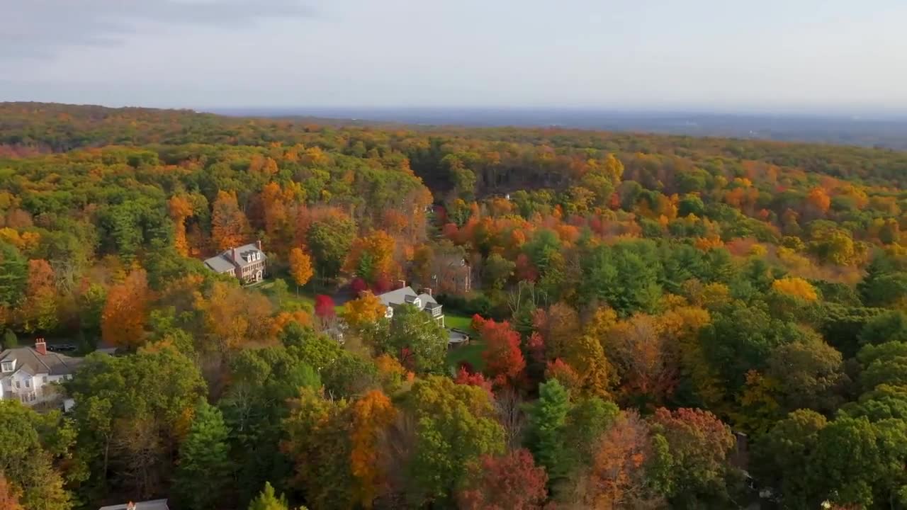 Enchanting Autumn Forests with Beautiful Piano Music