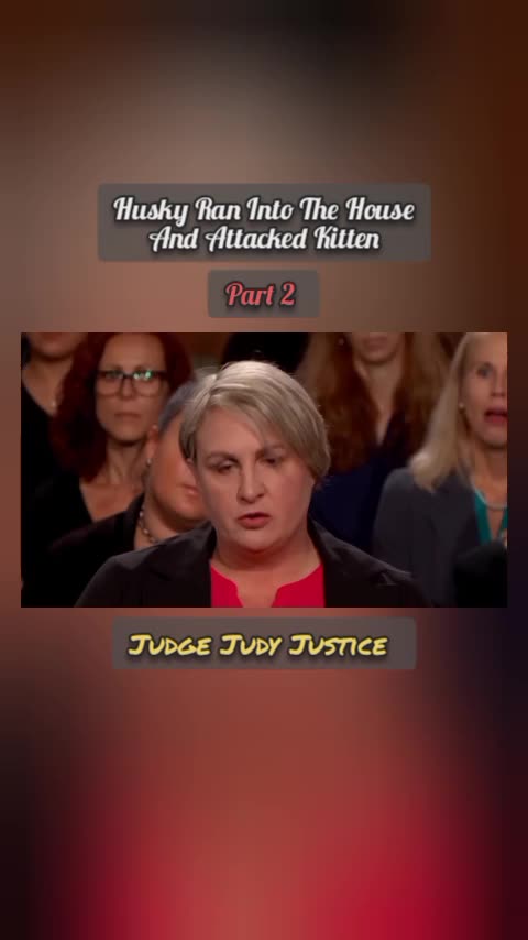 Husky Ran Into The House And Attacked Kitten | Part 2 | Judge Judy Justice