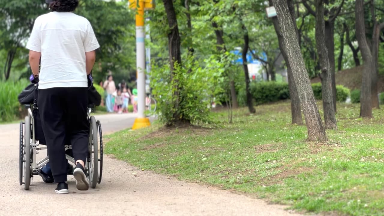 the back of a wheelchair walker