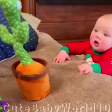 Babies play dancing cactus toy. Cutest baby funniest moments.