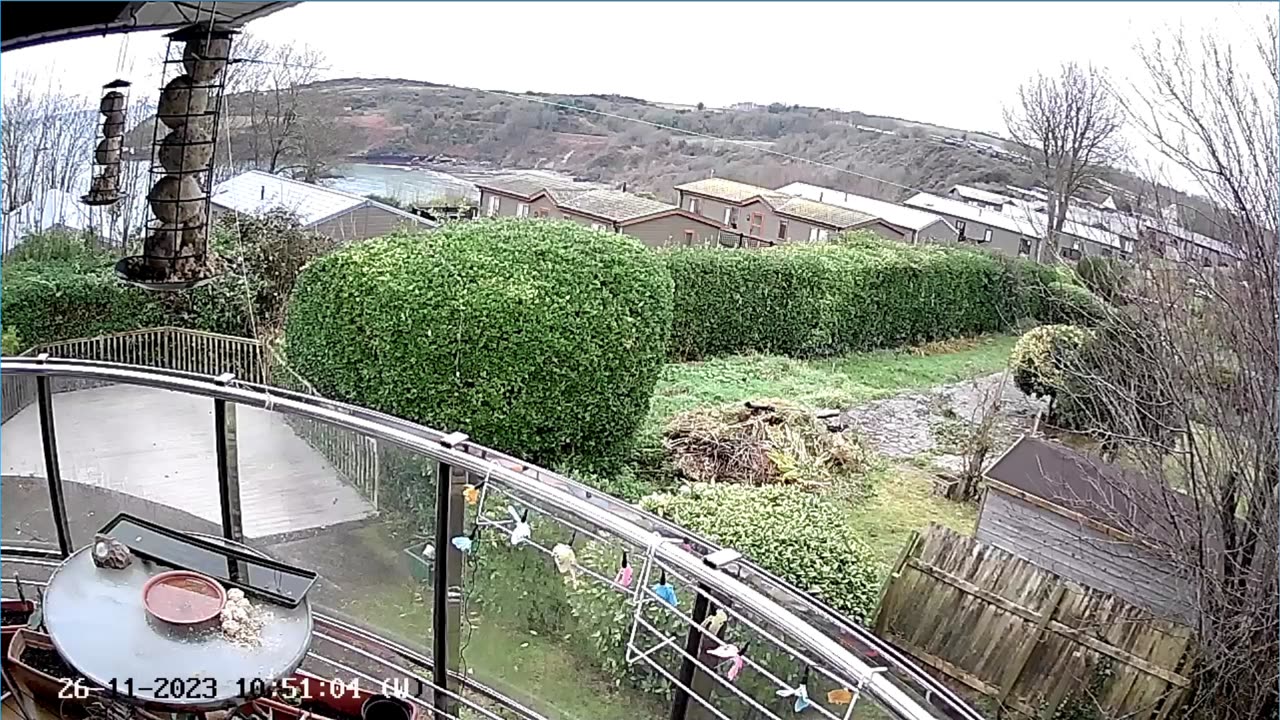 Saint Mary's cove Brixham and bird feeder