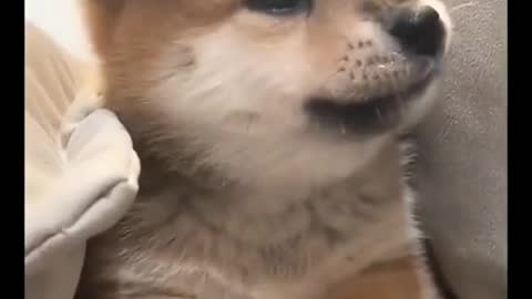 🥰🥰🥰