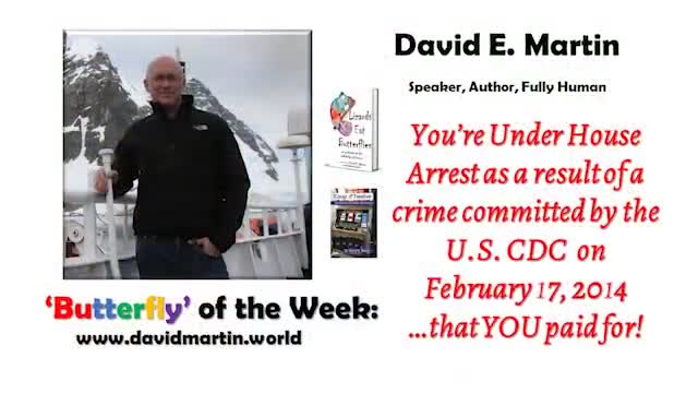 Butterfly of the Week, 27 April 2020: Under House Arrest as a Result of a Crime Committed by the CDC