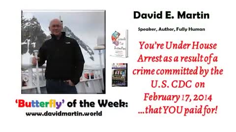 Butterfly of the Week, 27 April 2020: Under House Arrest as a Result of a Crime Committed by the CDC