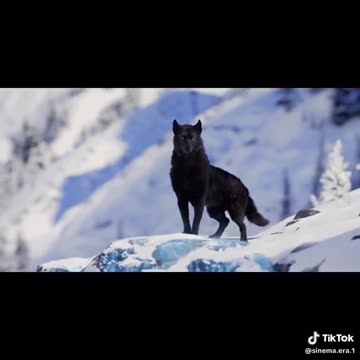 #film 🎬 the call of the wild 🎬😨😨 🍿🍿🍿 👌 #🎬🎬 #🎥💯 #кино🎥🎬📽📺отцы #кино🎥🎬📺отцы #🍿🍿 #🍿