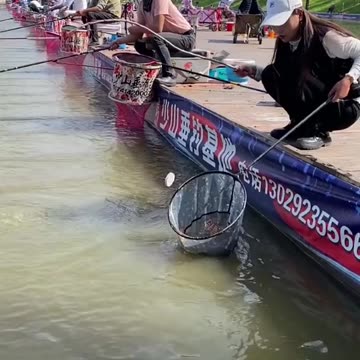 Best Asian Fishing Video 🐟 Weekend Fishing 🐟 #shorts