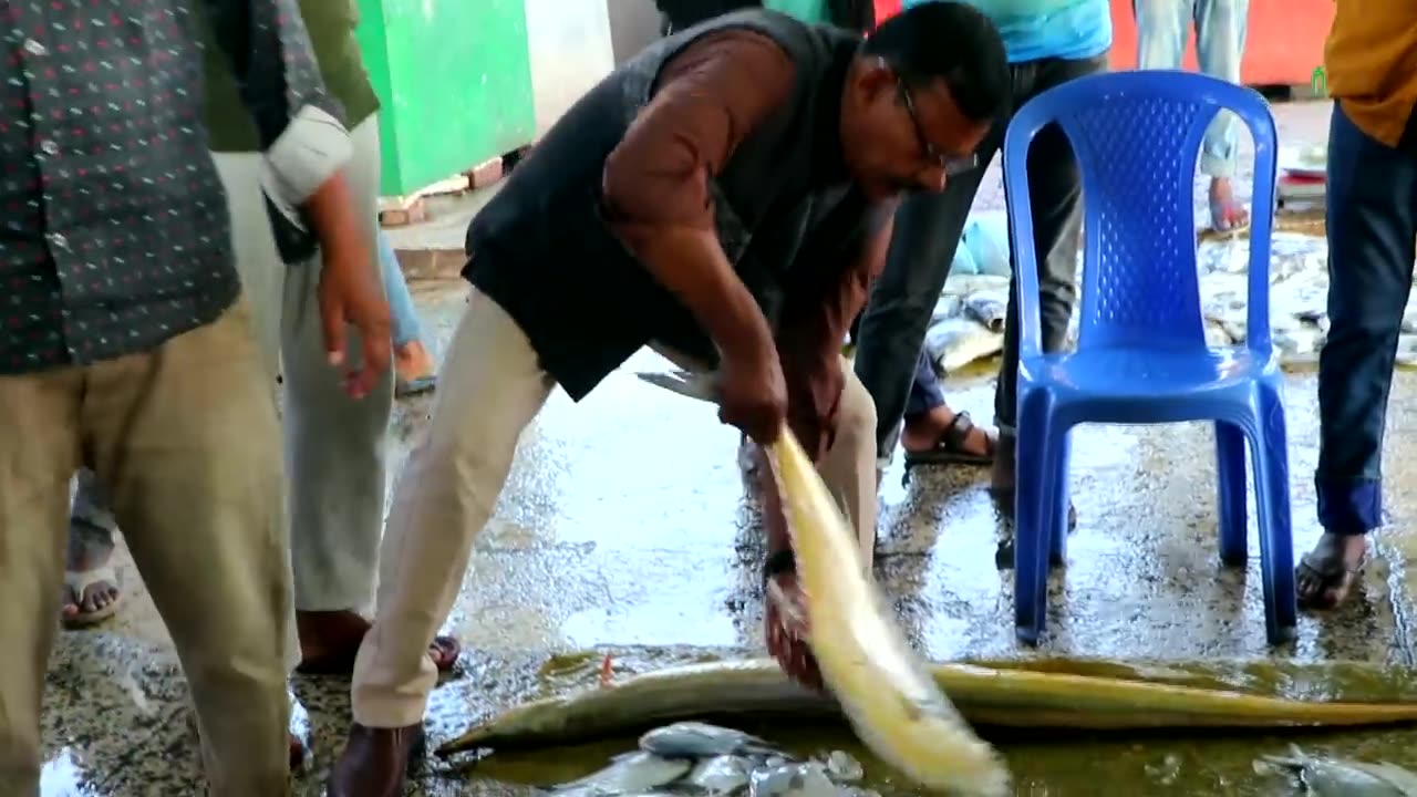 Big Fish Market Cox'sbazar in Bangladesh