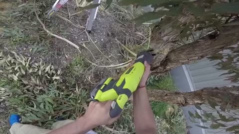 Using a 6 Inch Diablo Pruning Blade with Ryobi Reciprocating Saw and GoPro Head Mount