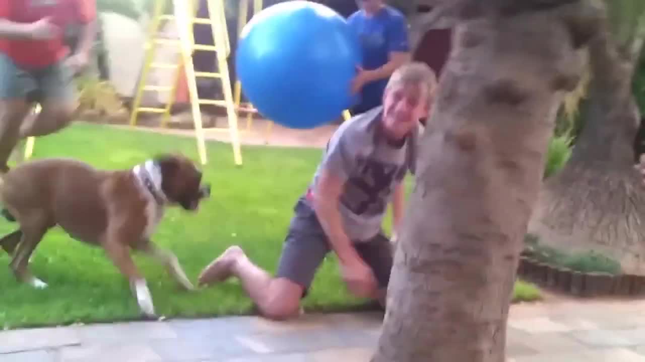 Epic fails of 2021 - A funny Compilation of fail