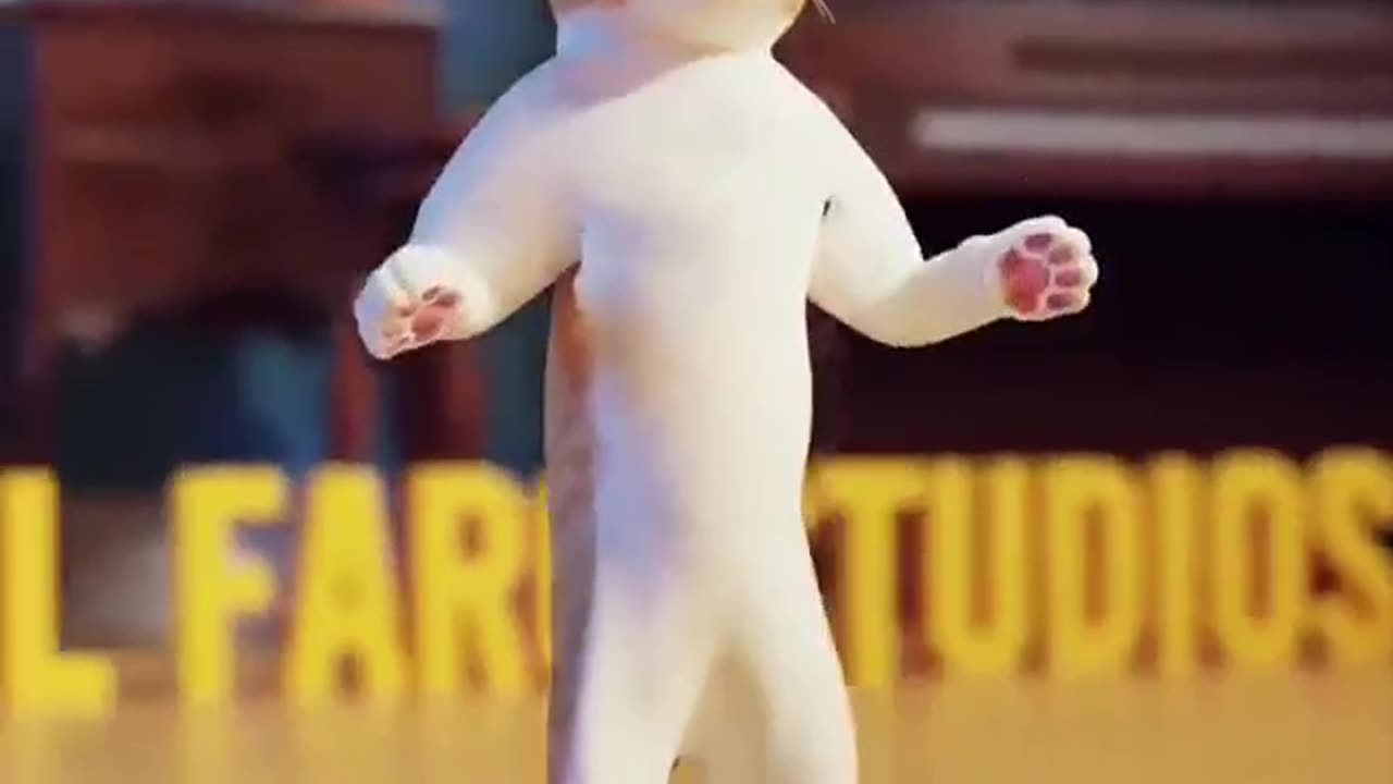 Dancing Cat #shorts #shortsvideo #video #viral