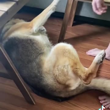 she doesn't want to go shower.mp4