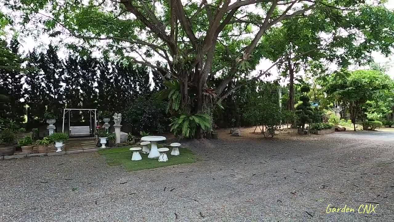 Front yard garden ideas Garden tour 2021 Simple and shady garden thailand