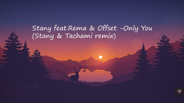 STANY - Only You ft. Rema, Offset(Stany& Tachami remix)