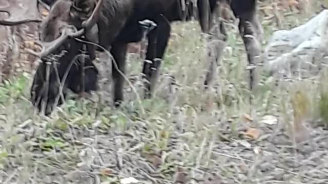 Everyday is Indigenous DAY 😁