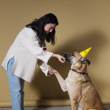 Say Thanks! Show some love to cottonbro by giving them a small donation.