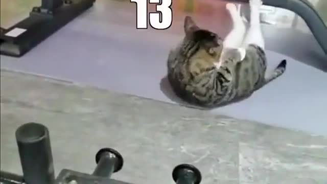 Can he do it