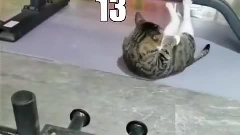 Can he do it
