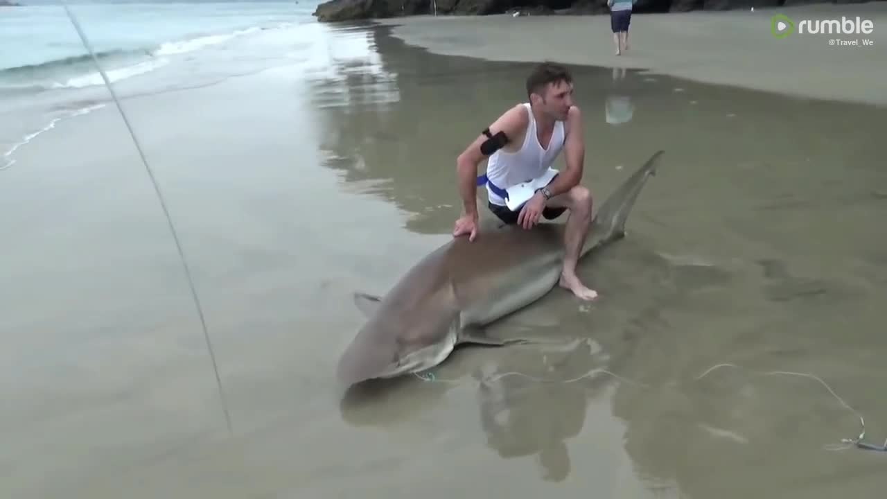 this guy dared to fight the shark,try to cactching.