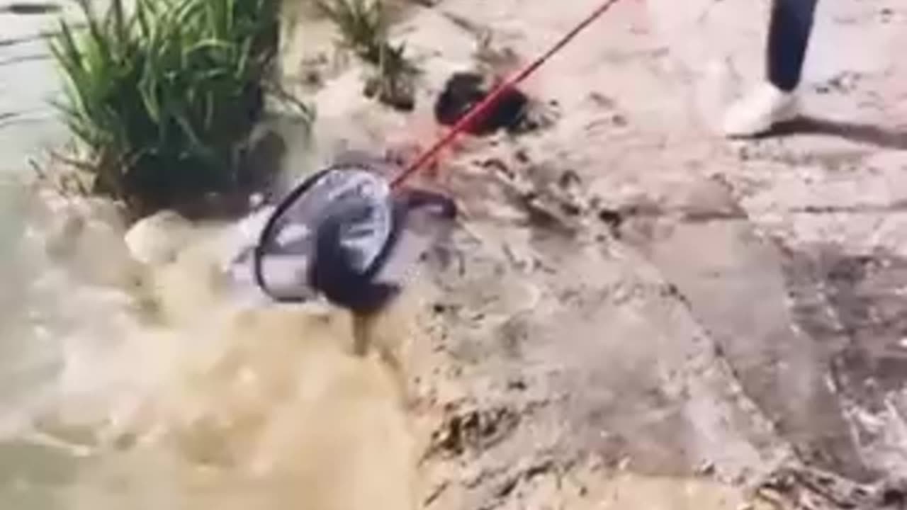 Best rurall Fishing video