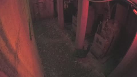 3258LHOBBAB250CGeneratorRoom_2021-01-05_17h40min02s280ms.mp4