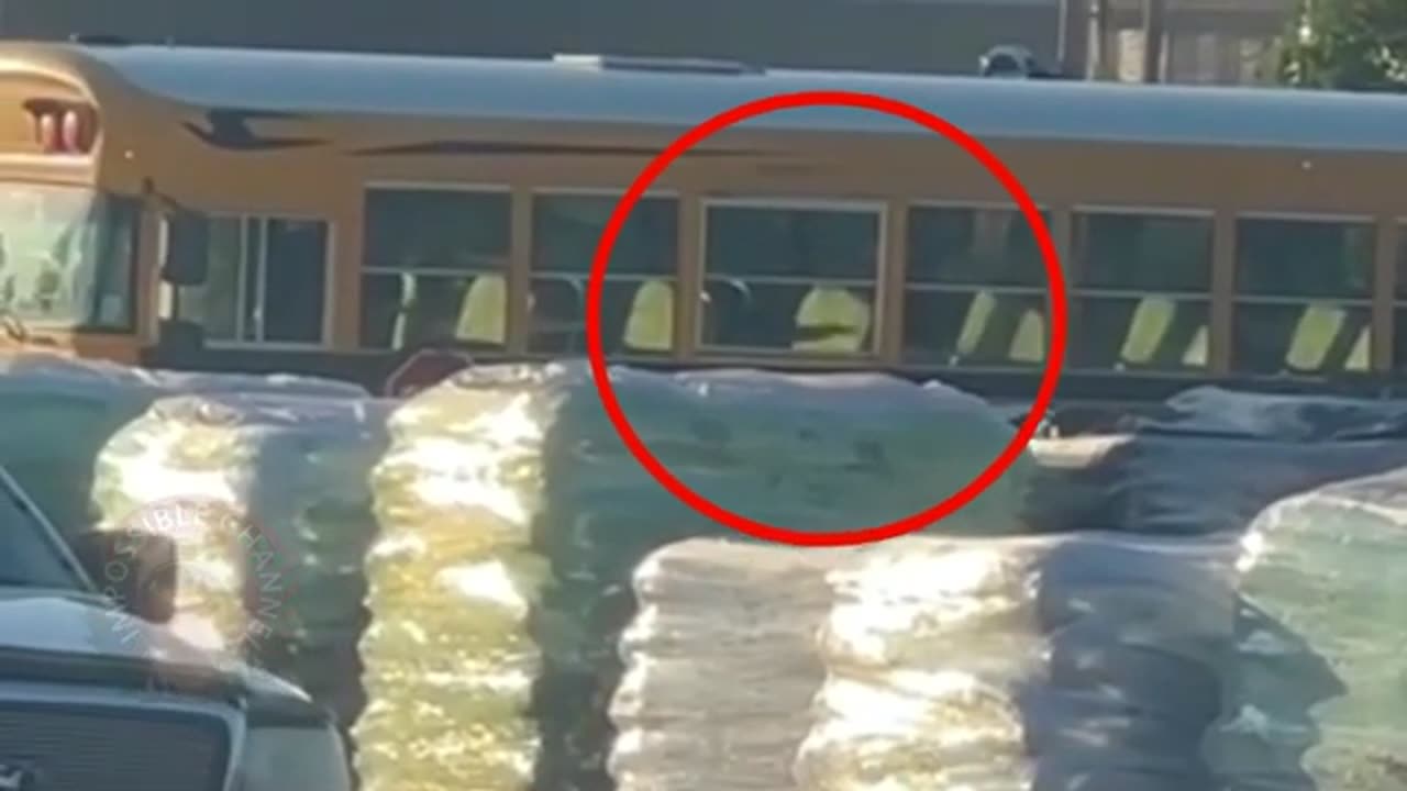 "NO WAY" Videos That Will Shatter Your Reality Into Pieces