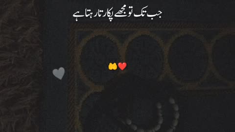 Allah hu akber 🕊️