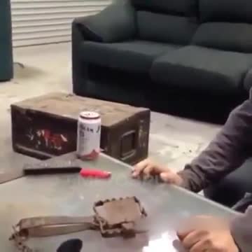 stupid tiktok around the world